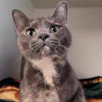 Thumbnail photo of Olivia #1