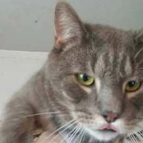 Thumbnail photo of Benjamin #2