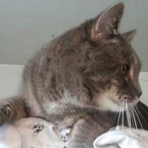 Thumbnail photo of Benjamin #4