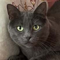 Thumbnail photo of Naomi #3