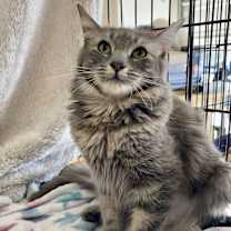 Thumbnail photo of Mary Jane/Pearl #3