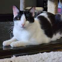 Thumbnail photo of Miracle #2