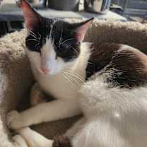 Thumbnail photo of Miracle #3