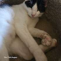 Thumbnail photo of Miracle #4