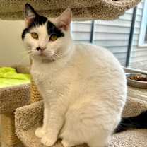 Thumbnail photo of Marilyn Monroe #1