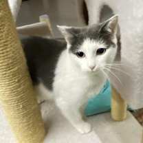 Thumbnail photo of Betty #1