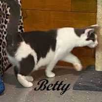 Thumbnail photo of Betty #4