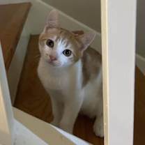 Thumbnail photo of Florida #1