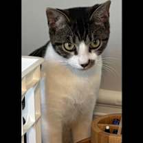 Thumbnail photo of Fiction #2