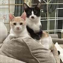 Thumbnail photo of London #1