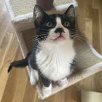 Thumbnail photo of London #3