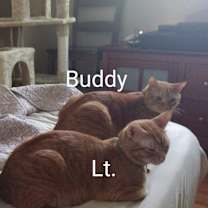 Thumbnail photo of Buddy #2