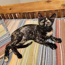 Thumbnail photo of Kanoe & Lena #1