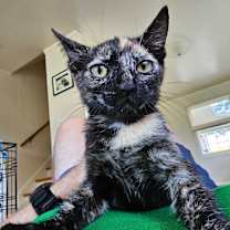 Thumbnail photo of Kanoe & Lena #2