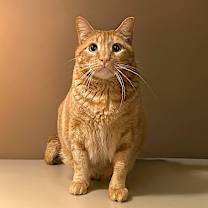 Thumbnail photo of STEWART #1