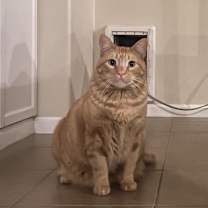 Thumbnail photo of STEWART #3
