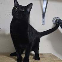 Thumbnail photo of Darla #1
