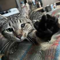 Thumbnail photo of Mr. Grover #1