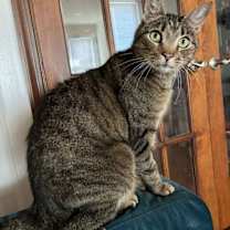 Thumbnail photo of Andre #2