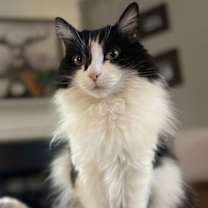 Thumbnail photo of Patsy #1