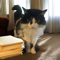 Thumbnail photo of Patsy #3