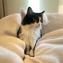 Thumbnail photo of Patsy #4