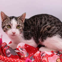 Thumbnail photo of Riza #4