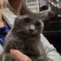 Thumbnail photo of Flint #2