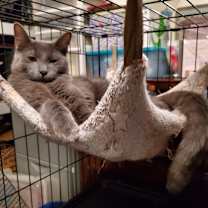 Thumbnail photo of Flint #3