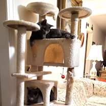 Thumbnail photo of Flint #4