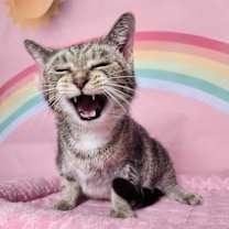 Thumbnail photo of Rachelle #4