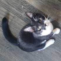 Thumbnail photo of Liddy #2
