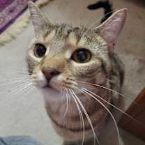 Thumbnail photo of Gabby #1
