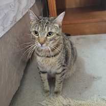 Thumbnail photo of Gabby #2