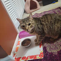 Thumbnail photo of Gabby #3