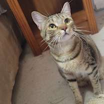 Thumbnail photo of Gabby #4