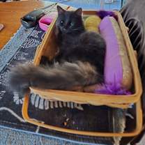 Thumbnail photo of Louise #1