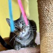 Thumbnail photo of Polly #1