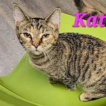 Thumbnail photo of Katara #2