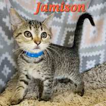 Thumbnail photo of Jamison #1