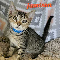 Thumbnail photo of Jamison #2