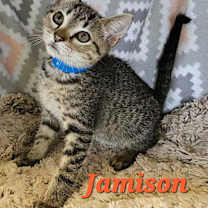 Thumbnail photo of Jamison #3