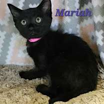 Thumbnail photo of Mariah #1