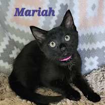 Thumbnail photo of Mariah #3