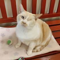 Thumbnail photo of Daphne #2