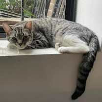 Thumbnail photo of Katy #2