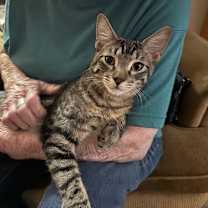Thumbnail photo of Max #3