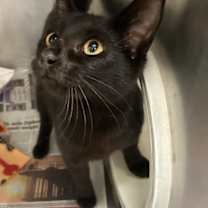 Thumbnail photo of Selena #2