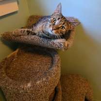 Thumbnail photo of Sleepy #4