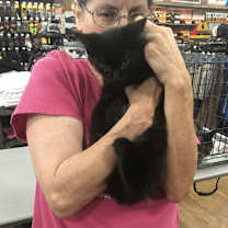 Thumbnail photo of Batman bonded (see description #1